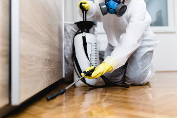 Best Mosquito Control Services  in Justin, TX