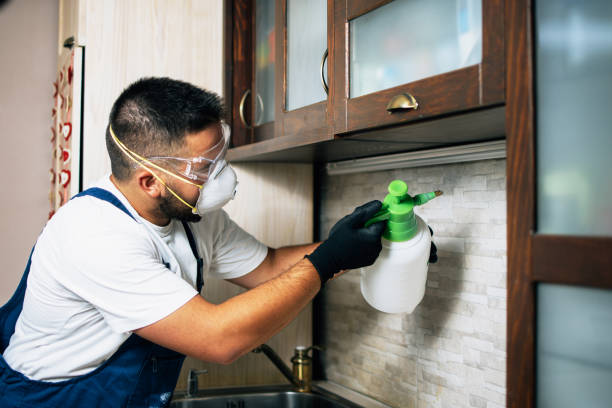 Best Pest Removal Services  in Justin, TX