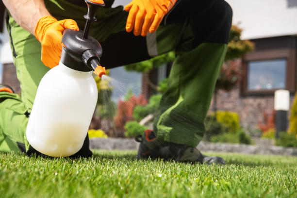 Best Rat Extermination Near Me  in Justin, TX