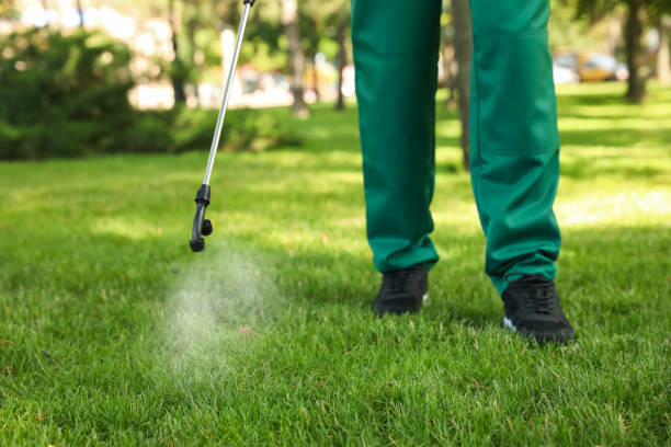 Best Termite Control Services  in Justin, TX