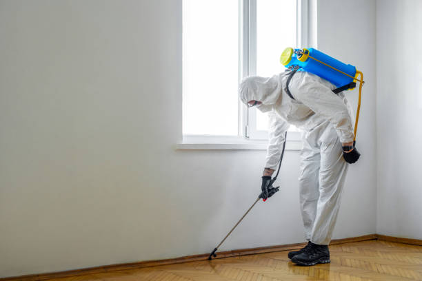 Professional Pest Control in Justin, TX
