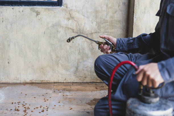 Best Termite Control Services  in Justin, TX